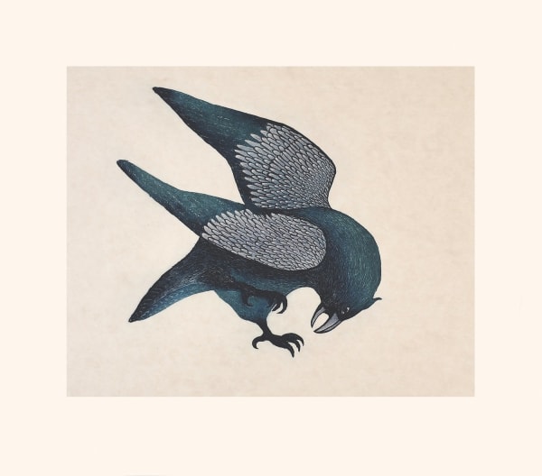 Quvianaqtuk Pudlat Striking Raven, 2023 Etching & Chine Collé / eau-forte et Chine Collé 25 3/8 x 28 7/8 in 64.5 x 73.3 cm