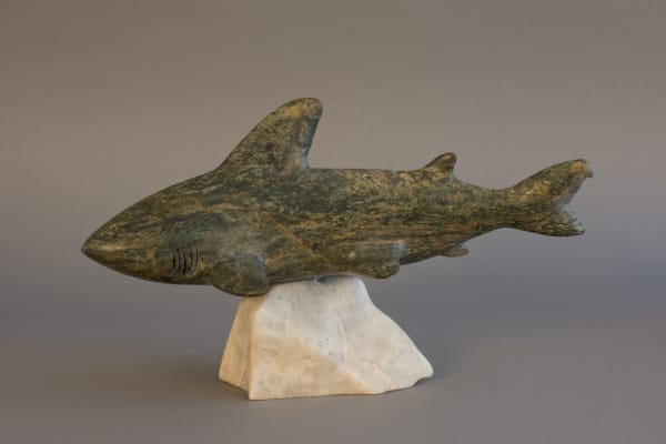 Mark Pitseolak, Greenland Shark / requin, 2006