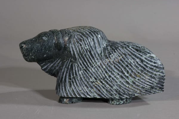 Pitseolak Qimirpik, Muskox / boeuf musqué, 2021
