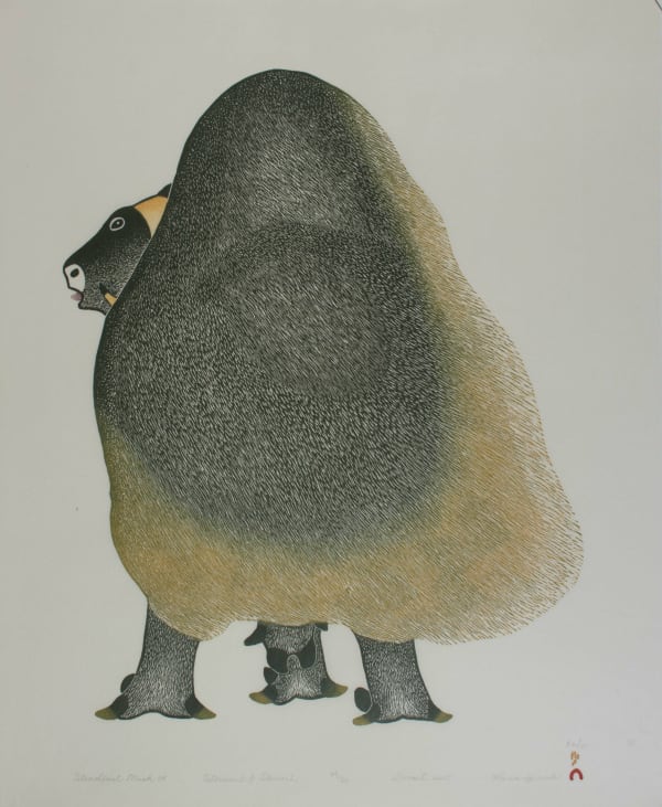 Kananginak Pootoogook, Steadfast Muskox, 2005