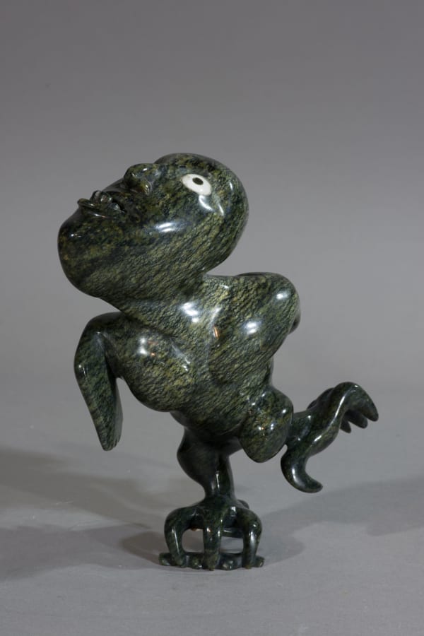 Toonoo Sharky, Transformation, ca. 2005