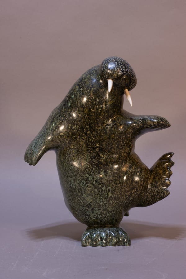 Pudlalik Shaa - Dancing Walrus / Morse dansant, 2024