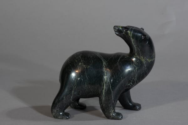 Tim Pee, Polar Bear, 2023