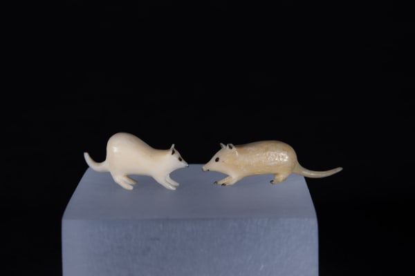 Unidentified Nunatsiavut / Non-identifié Nunatsiavut, Siksiks (Arctic Ground Squirrels / spermophiles arctique), Ca. 1890-1900