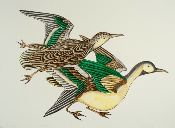 Kananginak Pootoogook, Sitjariak, 1975