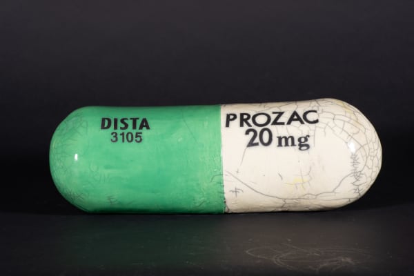 Karen Shapiro, Prozac , 2024