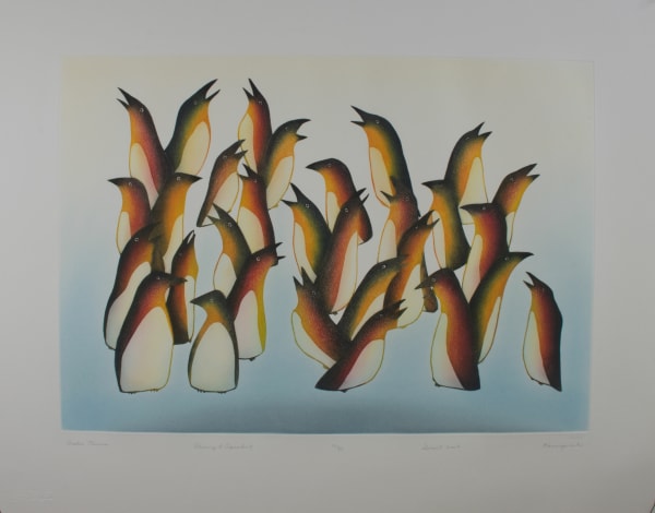 Kananginak Pootoogook, Arctic Murres, 2007