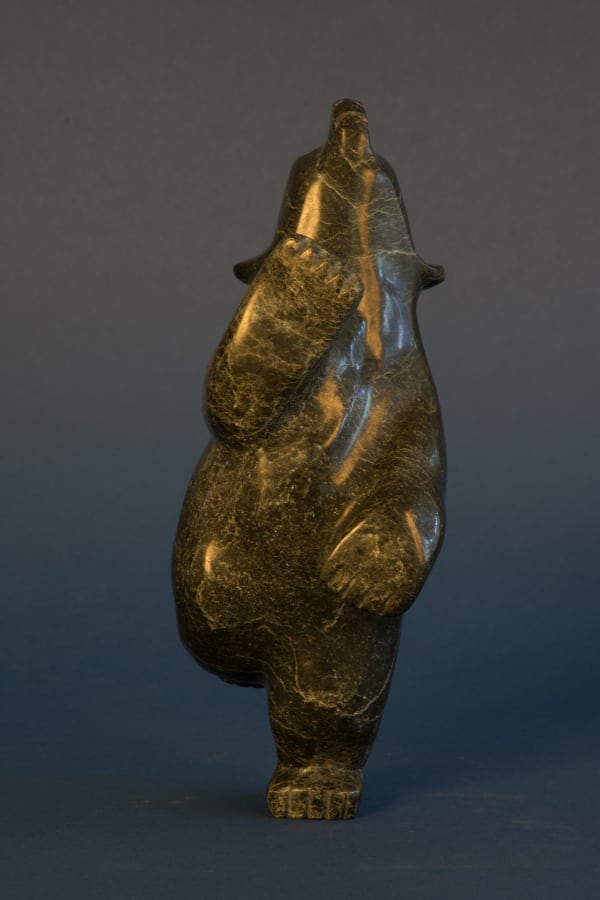 Johnny Papigatok - Dancing Bear / ours dansant, 2018