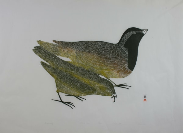 Kananginak Pootoogook, Kupanuaq, 1975