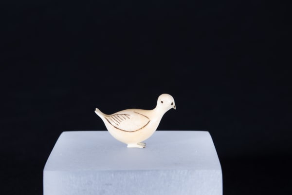 Unidentified Nunatsiavut / Non-identifié Nunatsiavut, Bird / oiseau, Ca. 1890-1900