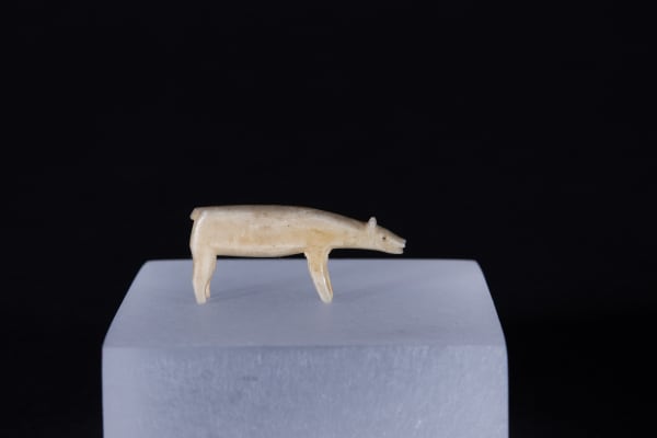 Unidentified Nunatsiavut / Non-identifié Nunatsiavut, Bear / ours, Ca. 1890-1900