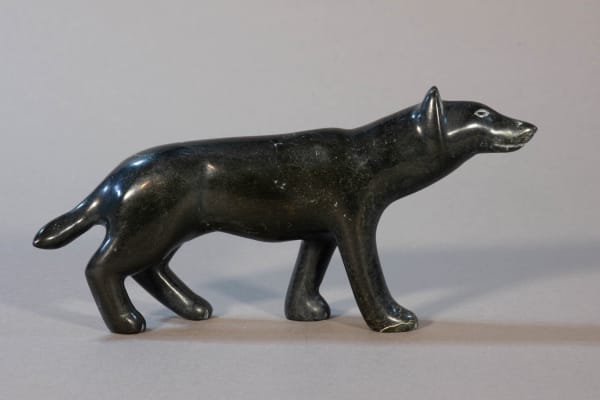 Matthew Flaherty, Wolf / loup, 2022