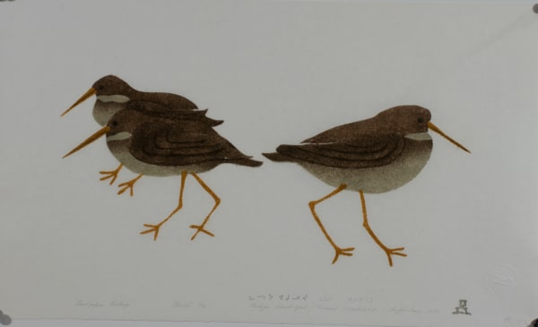 Malaya Akulukjuk, Sandpipers Resting, 1979