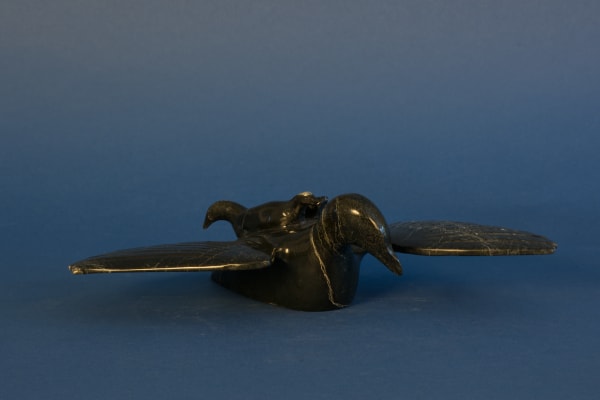 Kelly Etidloie - Loon & Chicks / huards, 2018