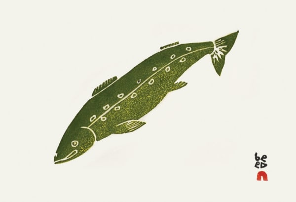 Alasuaq Sharky, Ivitaaruq (Arctic Char), 2024