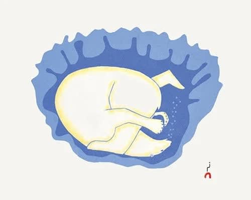 Alasuaq Sharky, Dive, 2025