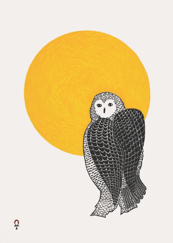 Pee Ashevak, Sunlit Owl, 2022
