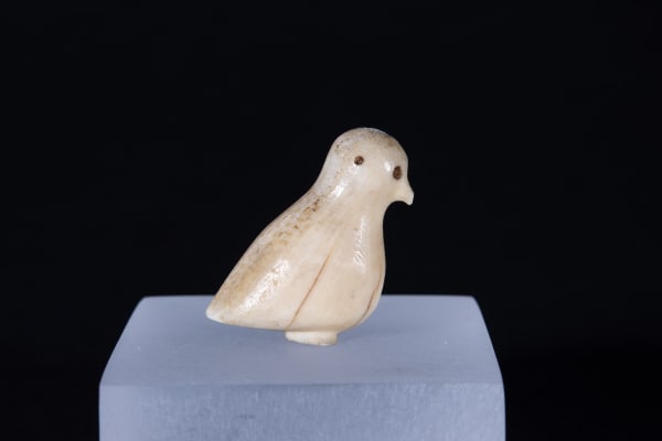 Unidentified Nunatsiavut / Non-identifié Nunatsiavut, Bird / oiseau, Ca. 1890-1900