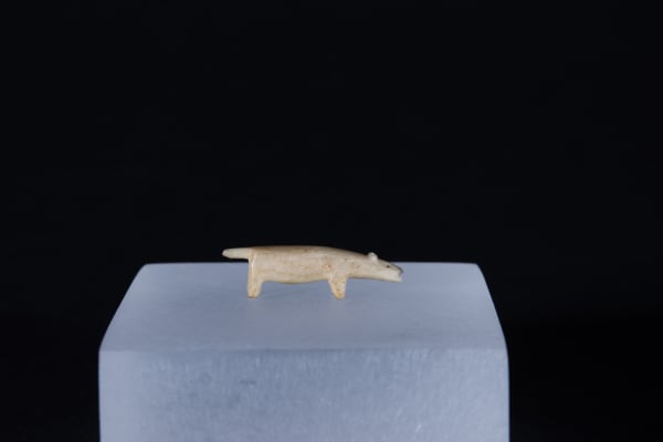 Unidentified Nunatsiavut / Non-identifié Nunatsiavut, Bear (?) / ours (?), Ca. 1890-1900