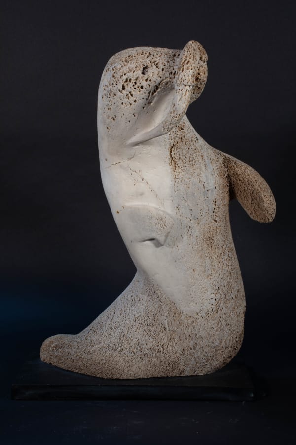 Unidentified / non-identifié, Walrus / morse, ca. 1975