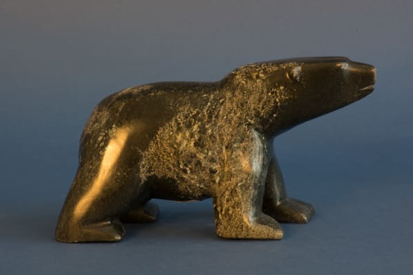 Pitseolak Qimirpik, Polar Bear / ours polaire, 2021