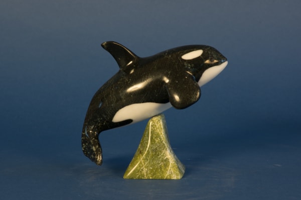 Johnnysa Mathewsie, Orca / orque, 2021