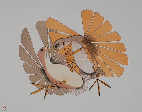 Aoudla Pudlat, Mating Battle, 1981