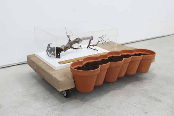 Martin Cordiano, The Strip, 2024