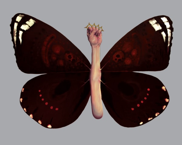 Amin Bagheri, Beaterfly, 2011