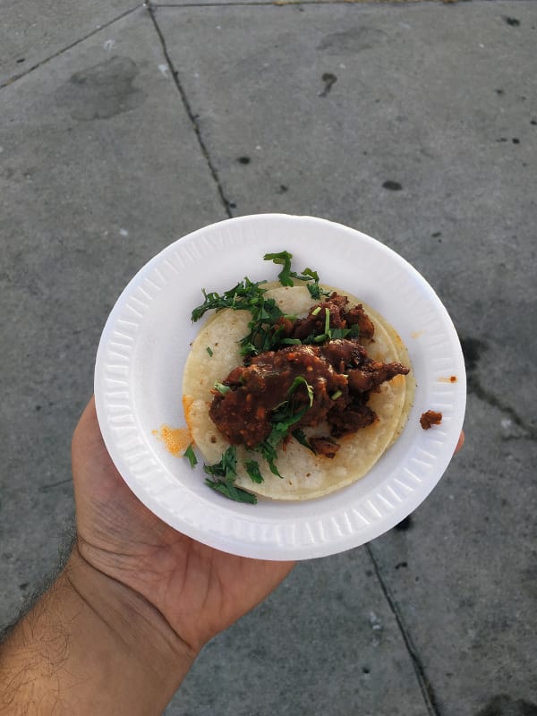 Arash Fayez, One dollar taco, 2016