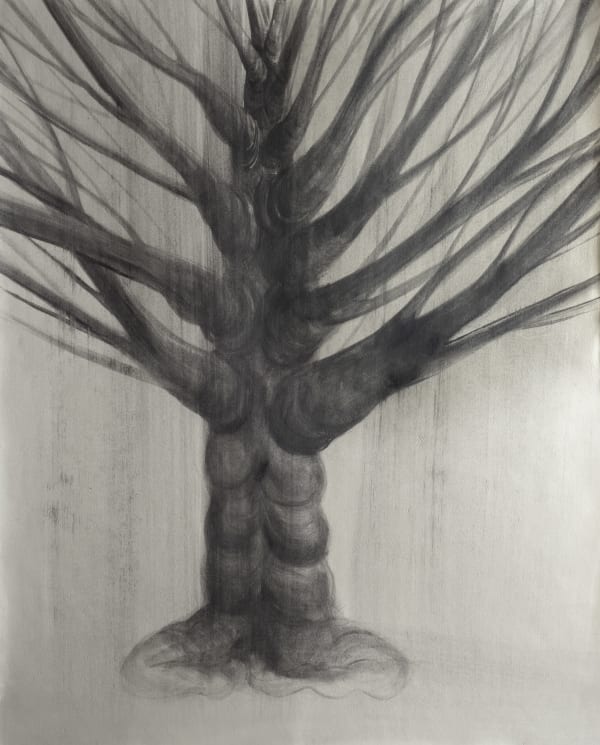 Amin Bagheri, Untitled, 2019-2021