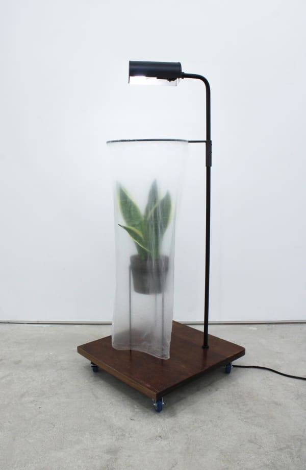 Martin Cordiano, The Refuge, 2024