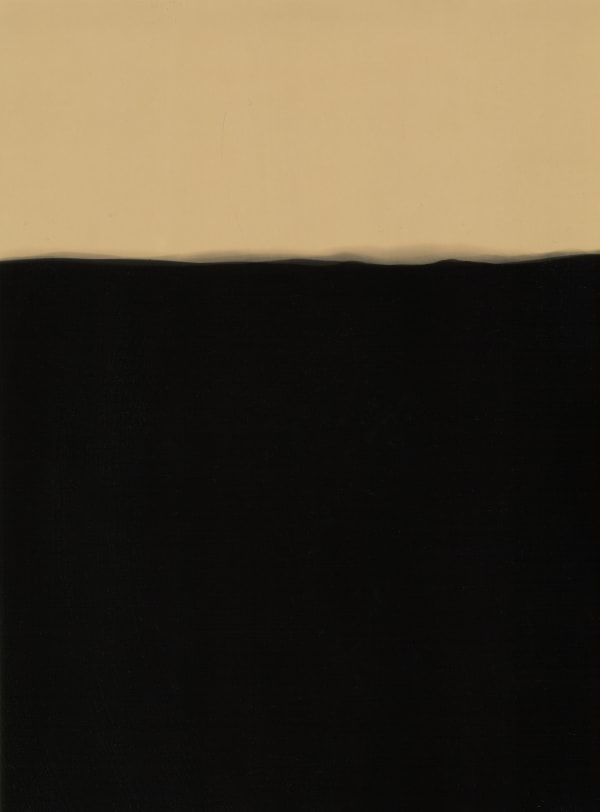 Hessam Samavatian, Photographical landscapes #22-8, 2022