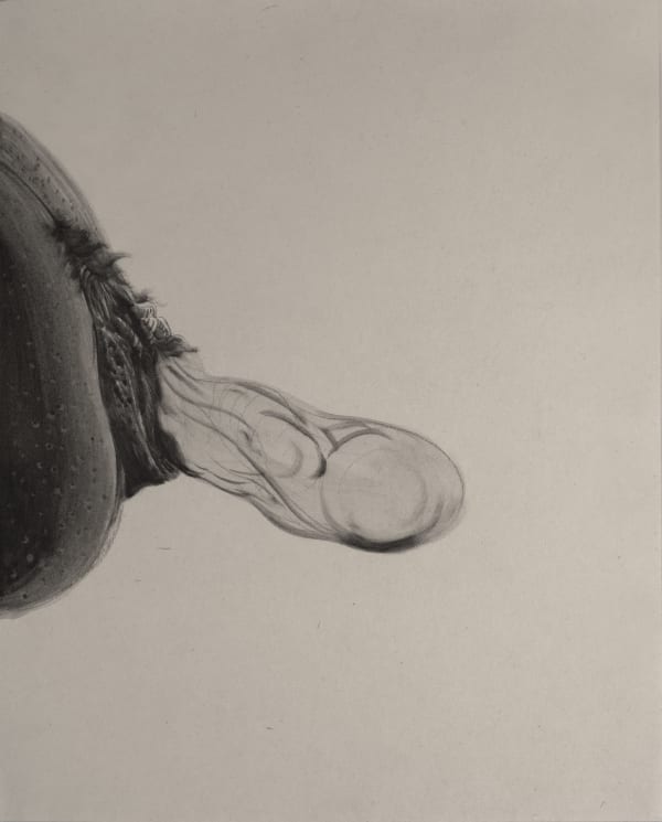 Amin Bagheri, Untitled, 2019-2021