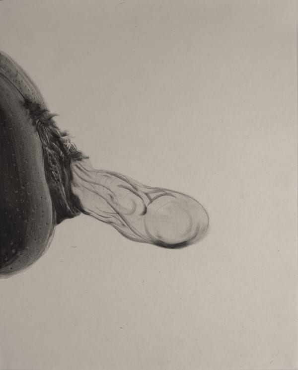 Seyed Amin Bagheri, Untitled, 2019-2021