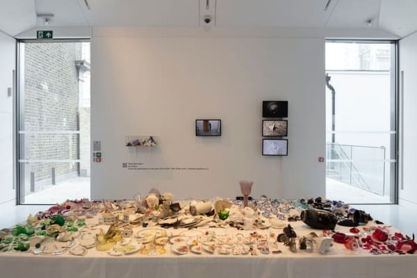 Neda Razavipour, Antifragility, 2022