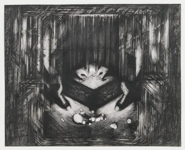 Raha Raissnia, Untitled, 2012