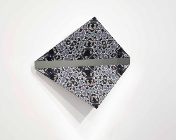 Sanaz Mazinani, Redacted March #3, 2013