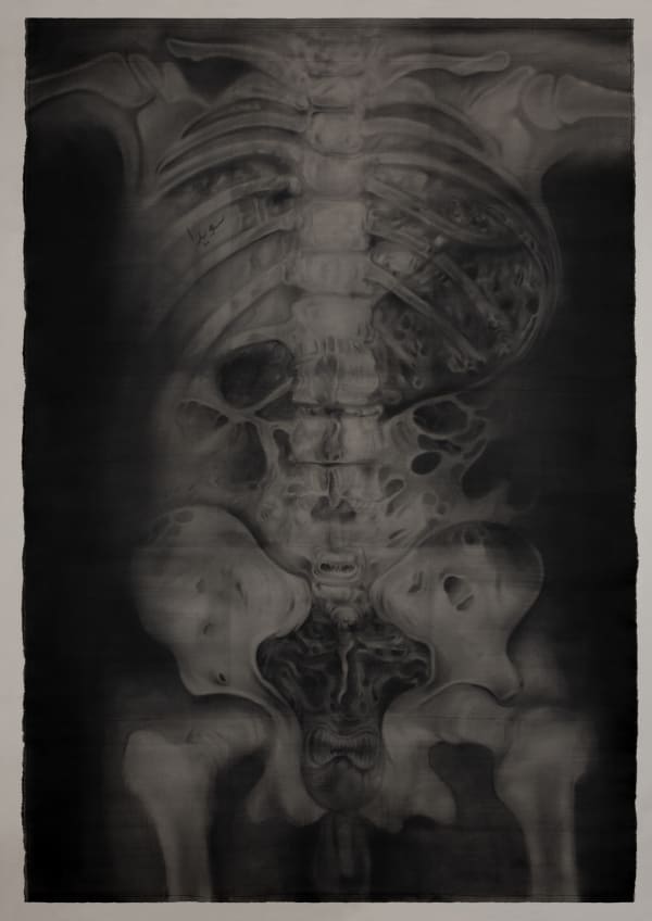 Amin Bagheri, An almost zero probability of finding Soveyda within the continuum of the soul, 2025