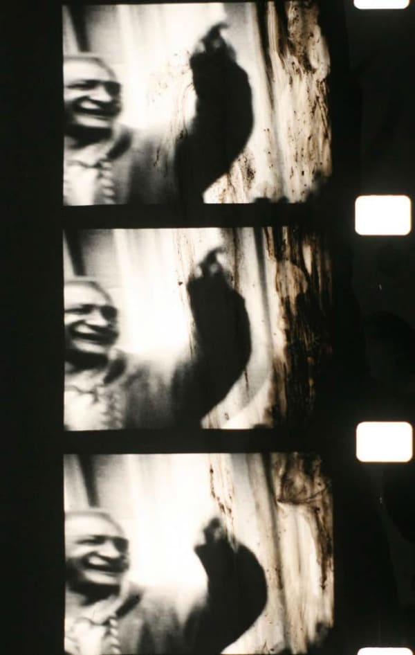 Raha Raissnia, Longing, 2014