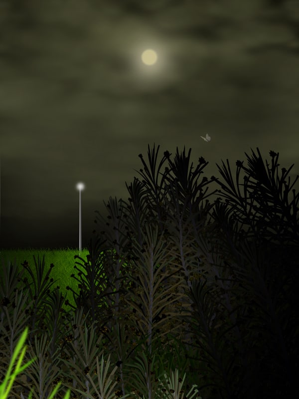 Arash Hanaei, Untitled 2 from the series [in the night garden]: Light a fire under your skin, 2022