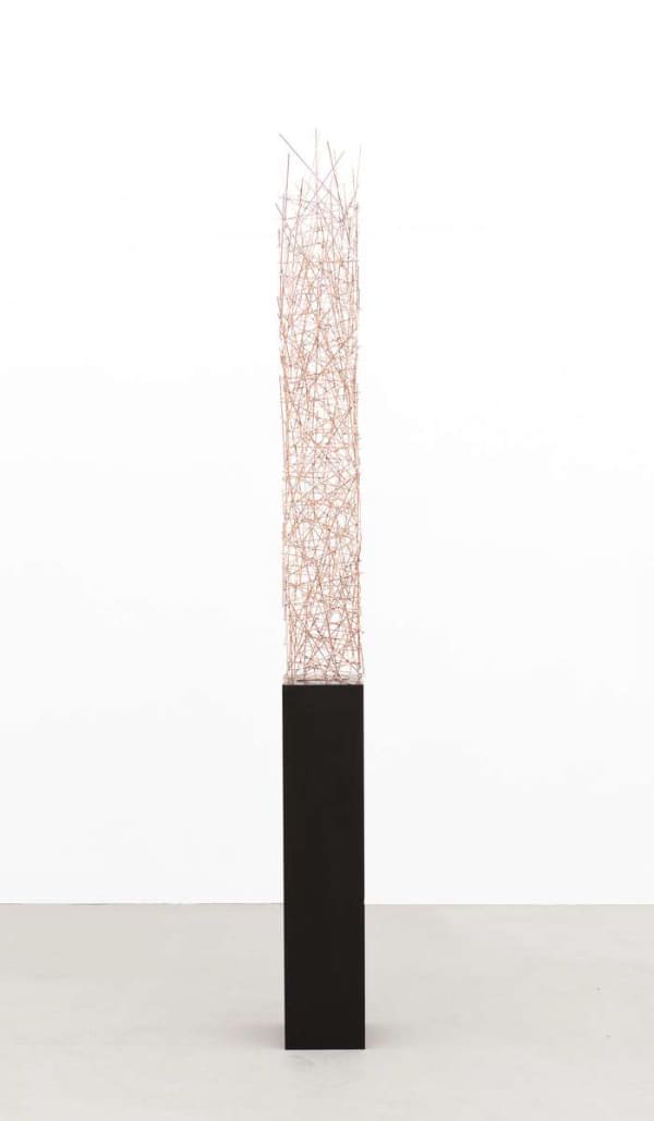 Timo Nasseri, Drill Core #6_99, 2013