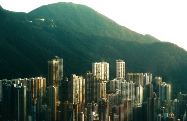 Matthew Stephenson, Hillside Radiance 1/10, 2018