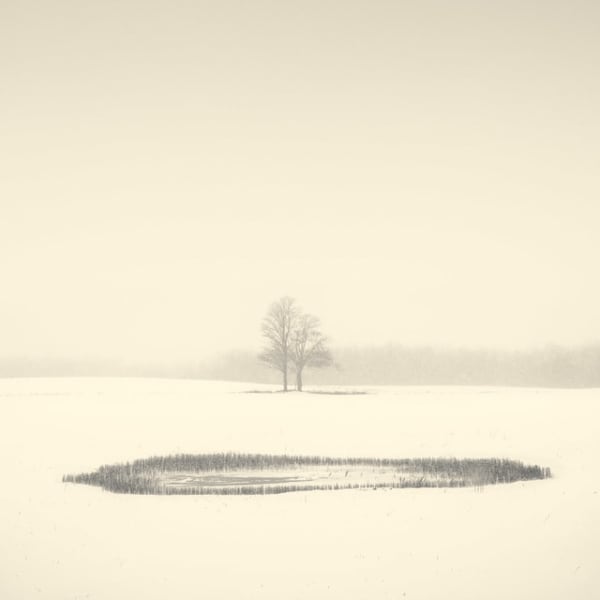 Peter Dušek, Frozen Pond 2/25, 2014