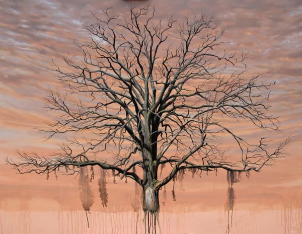 Duane Nickerson, Lost Oak, Morning, 2017