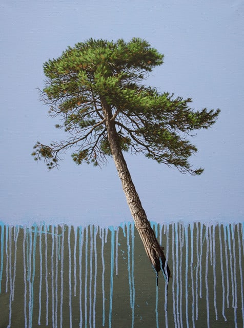 Duane Nickerson, Leaning Pine, 2016