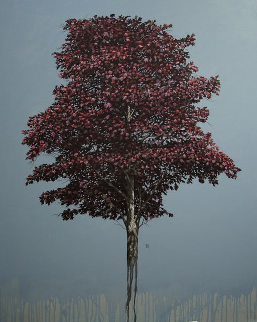 Duane Nickerson, Red Maple, 2016