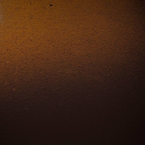 Stéphane Alexis - Skin no. 5, 2021