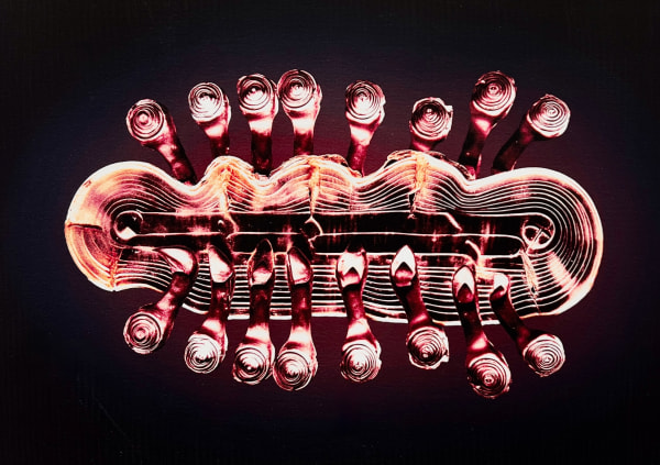 Vladimir Kanic, Photosynthetic Archives II pt. IV, 1/12, 2025