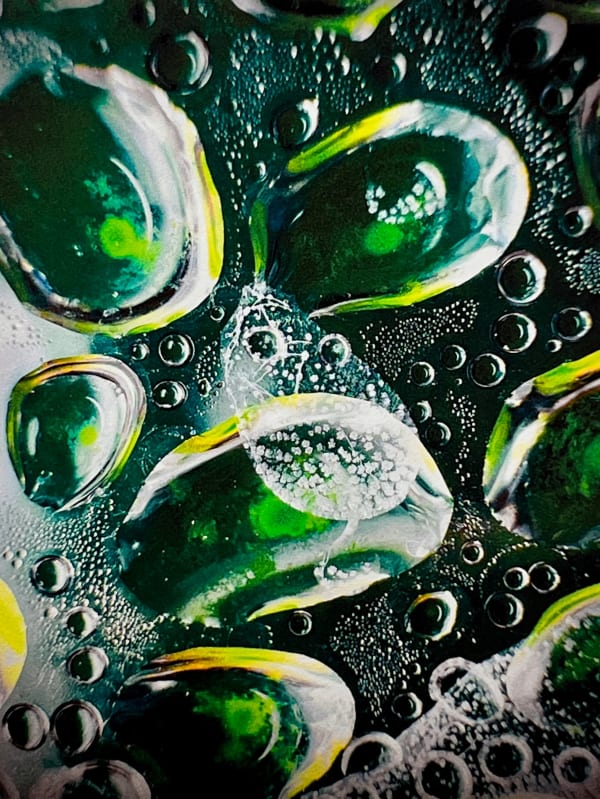 Vladimir Kanic, Photosynthetic Archives I pt. III, 1/12, 2025